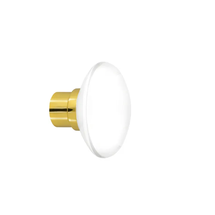 Bouton de porte collection Clear - Incolore - Disque Ø55 mm (Placard, Laiton Poli)